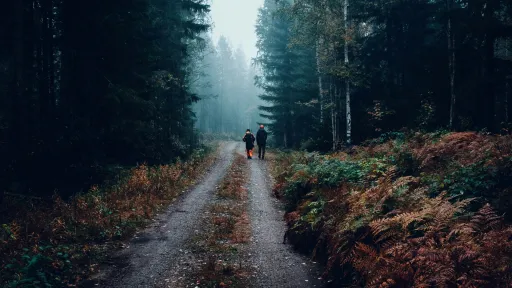 Deux chasseurs marchant sur un chemin forestier en automne, entourés d'arbres et de fougères aux teintes orangées et vertes, sous une lumière tamisée par le brouillard.